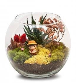 Cam Fanus Minyatür Teraryum Bahçesi